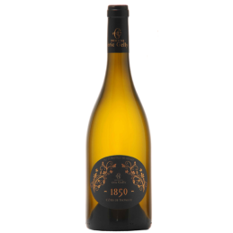 Bouteille de vin 1850 Blanc Languedoc-Roussillon