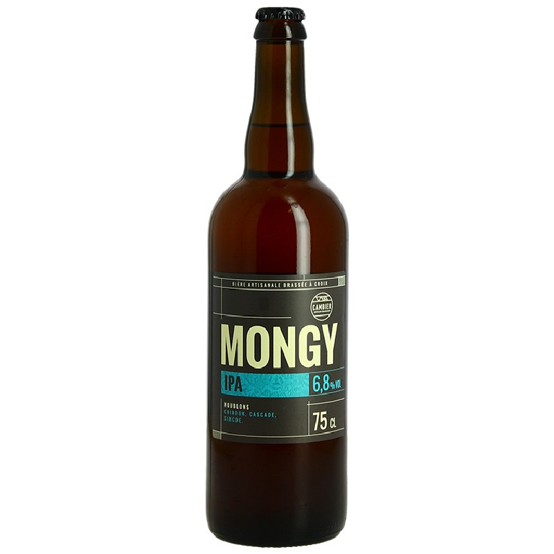 Bouteille de Mongy IPA 75 cl, bière artisanale blonde orangée avec mousse fine