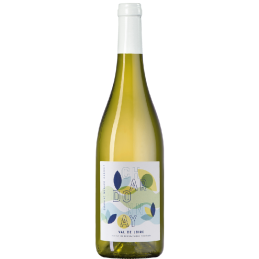Bouteille de Sauvignon Blanc Ménard Gaborit vin blanc fruité et rafraîchissant