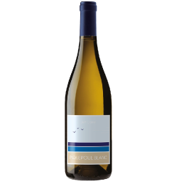Bouteille de vin Picpoul Blanc Iode et Mer de Jeff Carrel, vin blanc du Languedoc