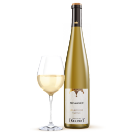 Bouteille de Sylvaner Sélection Alsace, vin blanc sec aux arômes floraux et agrumes