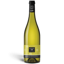 Domus Blanc – Côtes de...