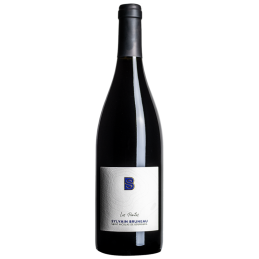 Les Pentes Rouge bouteille de Saint Nicolas de Bourgueil Cabernet Franc