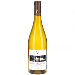 Bouteille de Saint Pourçain Domaine De Bellevue Blanc sur fond blanc
