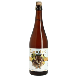 Bouteille de Lupulus Triple Blonde 75cl bière artisanale belge dorée