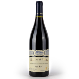 Bouteille de Côteaux Bourguignons Domaine Penlois 100% Gamay