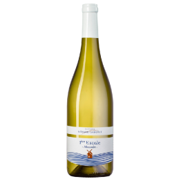 Bouteille de vin blanc Muscadet 1ère Escale Blanc - idéale pour fruits de mer et apéritifs