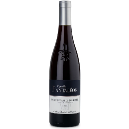 Bouteille de Saint Nicolas de Bourgueil Vignoble Pantaléon