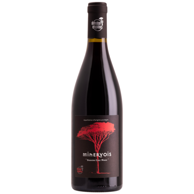 Derrière chez Marie Minervois rouge – Domaine Ampelous vin du Languedoc