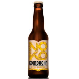 Kombucha Noko Citron Gingembre Bio 33 cl – Boisson Fermentée Naturelle et Rafraîchissante - Pays Flamand