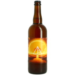 Bouteille de bière Horizion 75 cl - Brasserie Chromatique