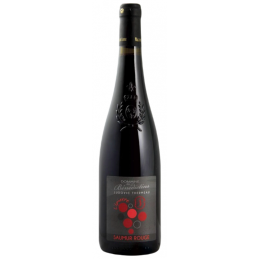 Vin de Loire - L’Epinette Saumur Rouge – Cabernet Franc du Domaine des Bénédictins – Ludovic Thermeau