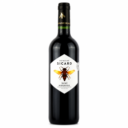 Bouteille de vin rouge - Minervois - Domaine Sicard