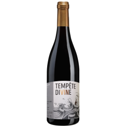 Bouteille de Brouilly Tempête Divine, vin rouge du Beaujolais