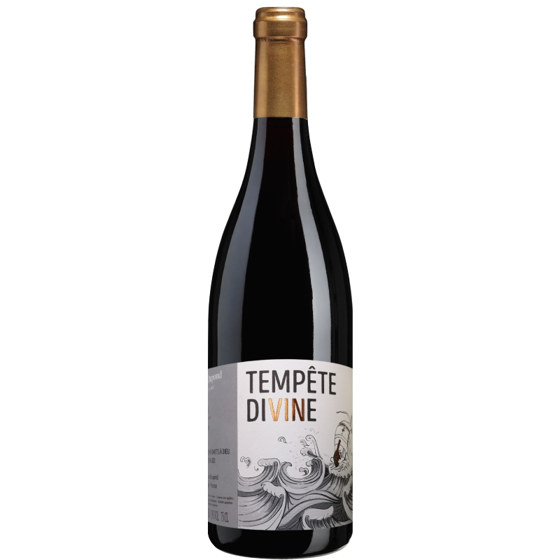 Bouteille de Brouilly Tempête Divine, vin rouge du Beaujolais