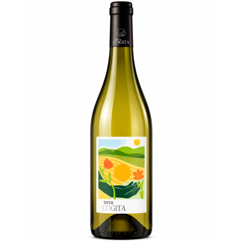 Preigne le Vieux - Terra Cogita Soreli Blanc - Pays d'Oc