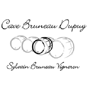 Domaine Sylvain Bruneau