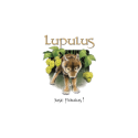 Brasserie Lupulus
