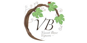 Vincent Boyer Vigneron