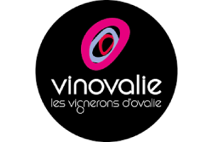 Vinovalie