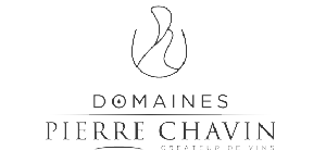 Pierre Chavin